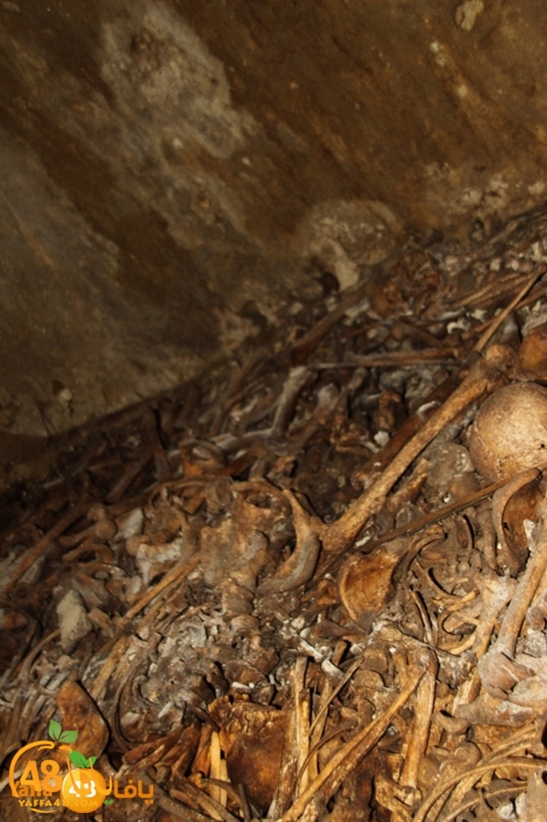 mdafenkazakhana512 (9).JPG